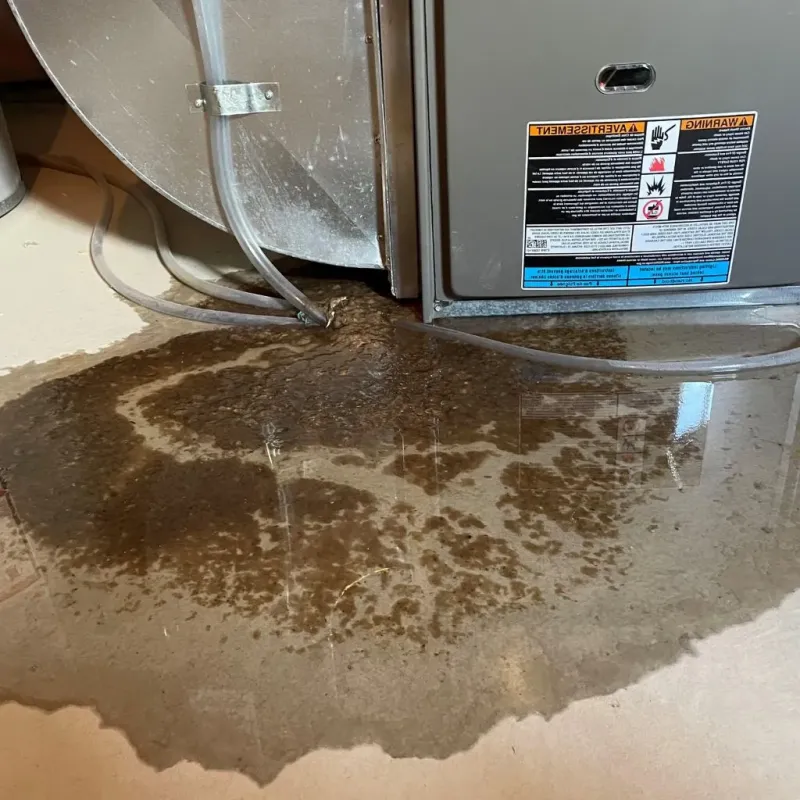 Pipe Burst and Leak Restoration in Lake Winnebago, MO