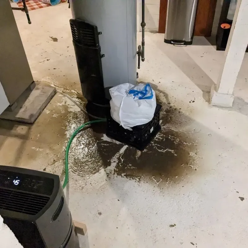 Sewage Backup Cleanup Service in Lake Winnebago, MO